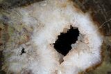 Crystal Filled Petrified Wood (Woodworthia) Round - Zimbabwe #167907-1